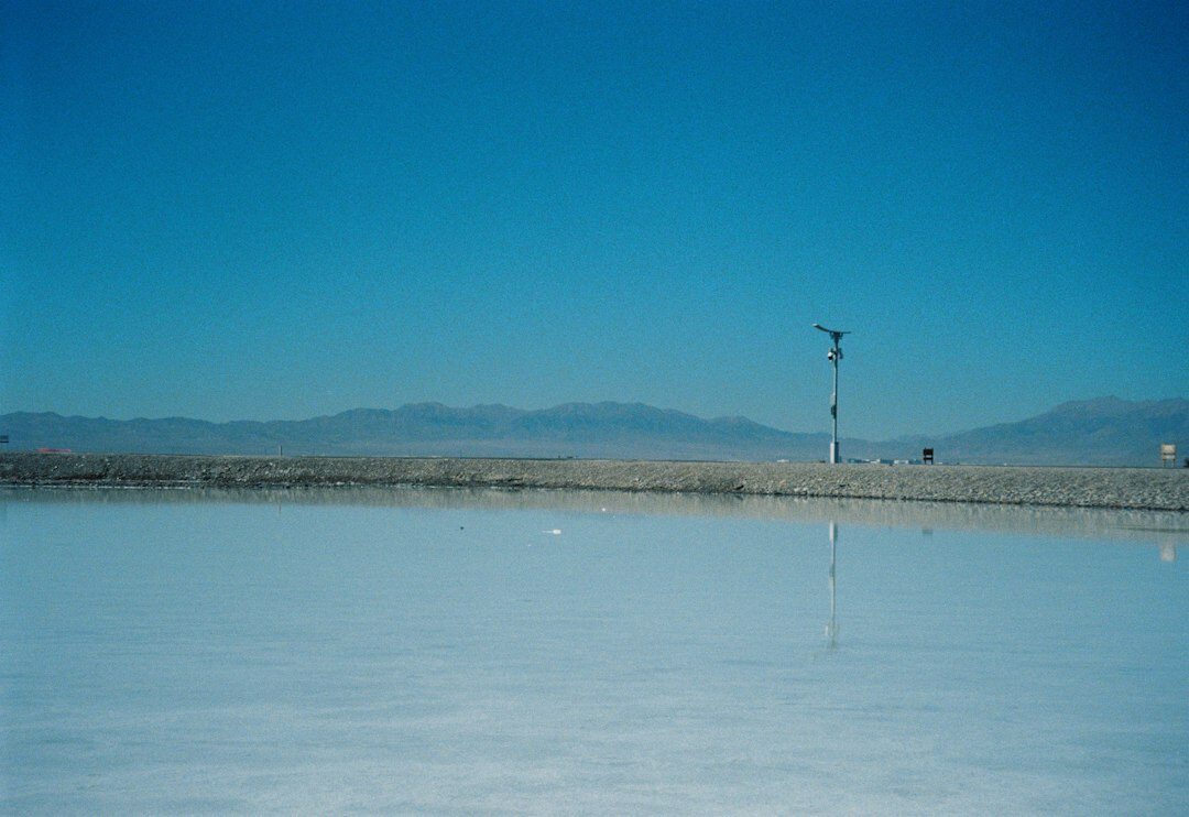 flamingos in salt flat