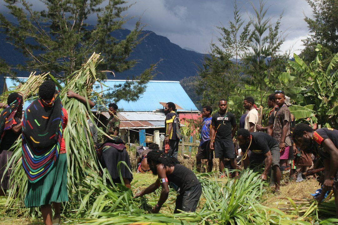 indigenous mapuche community
