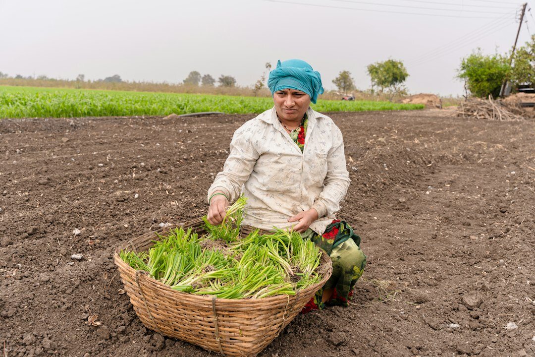chilean farmer in field