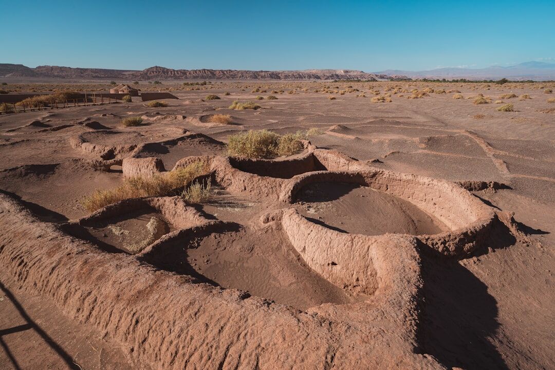 chilean indigenous landscape