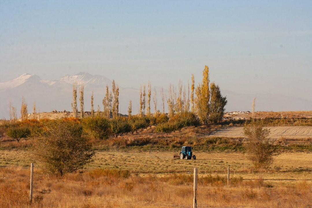 chilean farmer in field